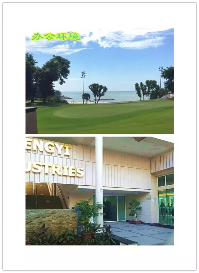 文莱是接近哪个国家_文莱护照免签哪些国家_文莱国家简介