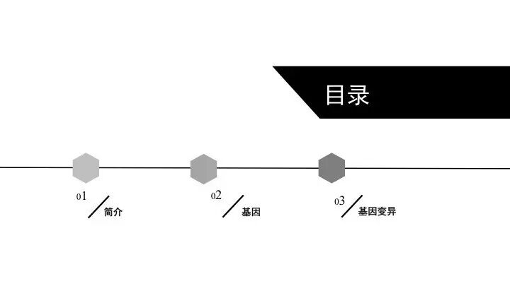基因突变基本知识「建议收藏」
