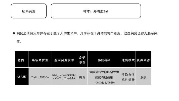 基因突变基本知识「建议收藏」