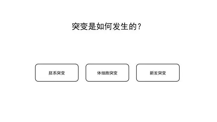 基因突变基本知识「建议收藏」