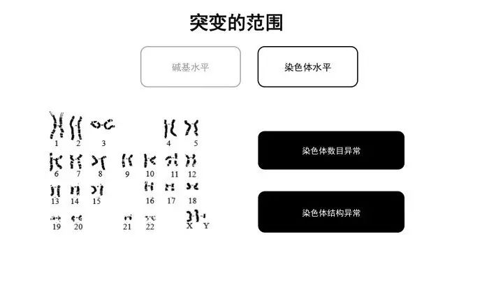 基因突变基本知识「建议收藏」