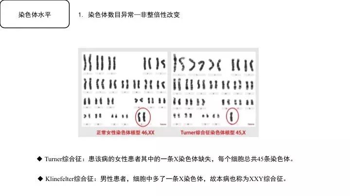 基因突变基本知识「建议收藏」