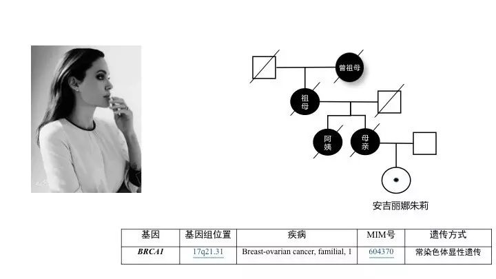 基因突变基本知识「建议收藏」