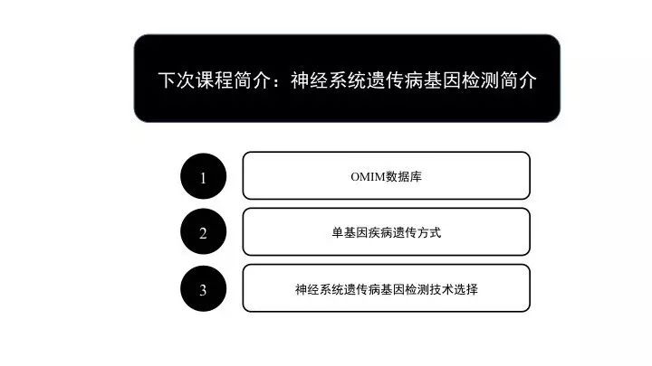 基因突变基本知识「建议收藏」