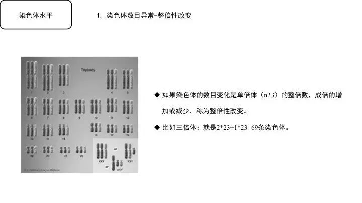 基因突变基本知识「建议收藏」