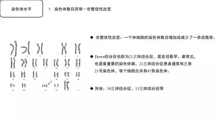 基因突变基本知识「建议收藏」
