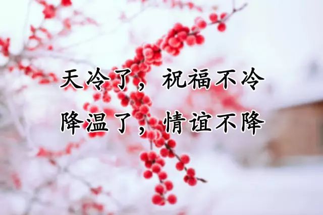 今日立冬,温暖祝福送给你