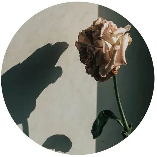 林依晨,请再捞一把自己