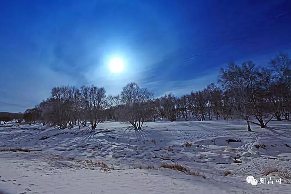 今日大雪冬雪降临全国最美雪景排名