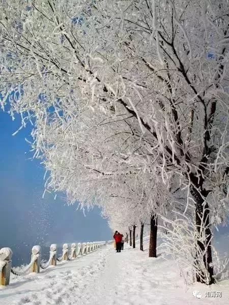 今日大雪冬雪降临全国最美雪景排名