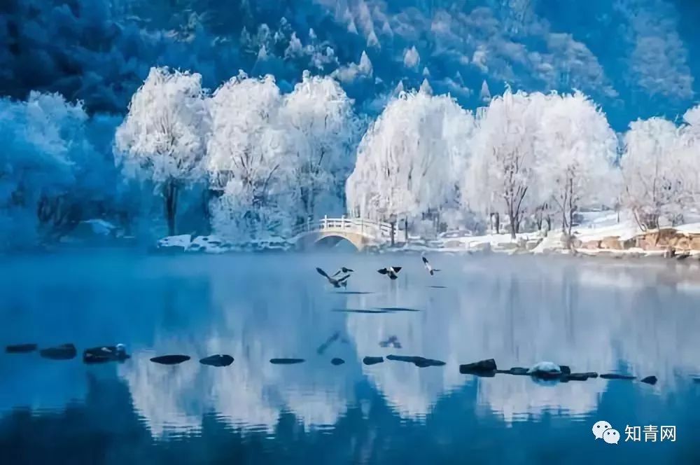 今日大雪冬雪降临全国最美雪景排名