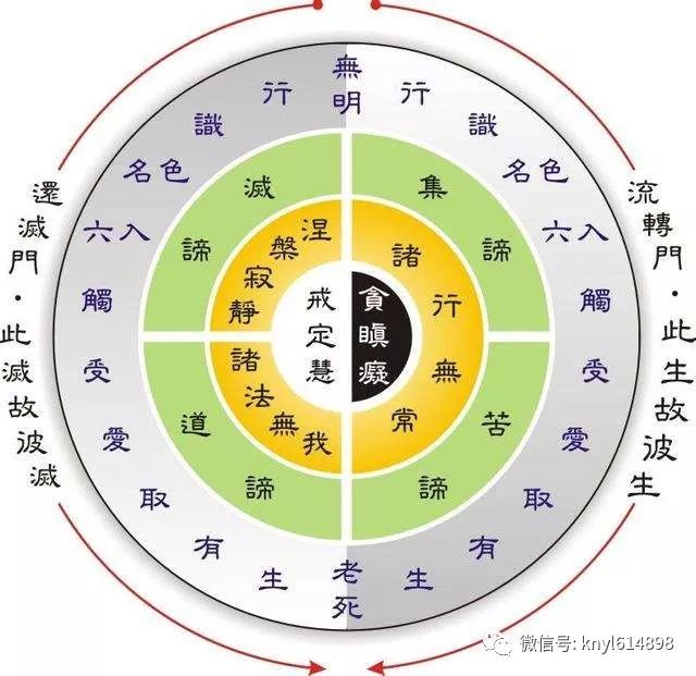 佛学基础:十二因缘(3)| 康宁永乐第1254期