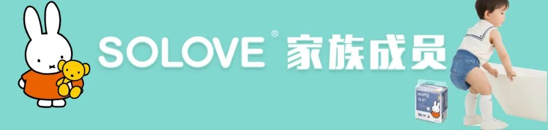 SOLOVE产品零售价格表