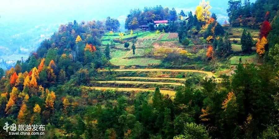 重磅!全国十个,全省唯一!宜昌获评中国最美乡村旅游目的地