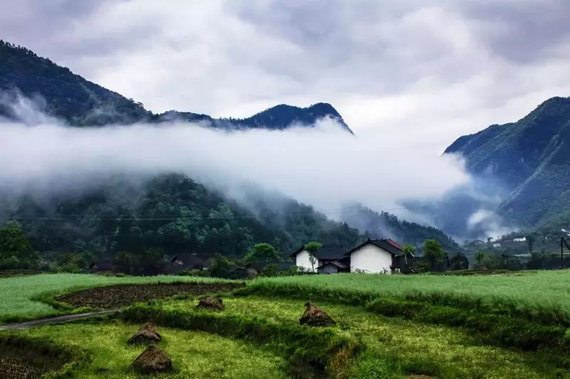 全国十个,全省唯一!宜昌获评中国最美乡村旅游目的地