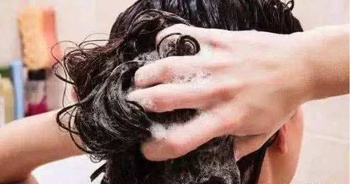头发多久洗一次最好？原来一直都做错了，难怪头发越掉越多！