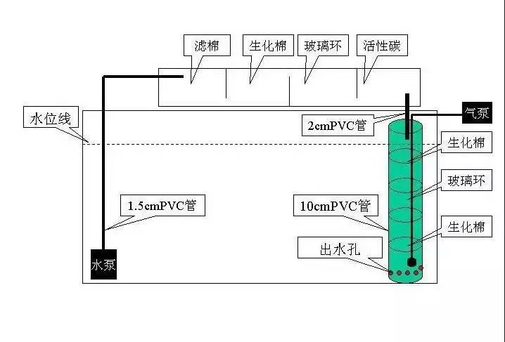 鱼缸反气举是啥玩样?