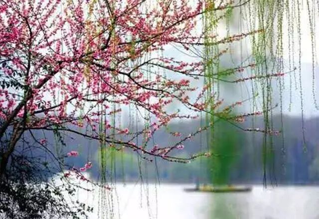 潮 星暗月明三更梦  青梅树下唱童谣 湖上香飘万顷荷  拥红叠翠静如波