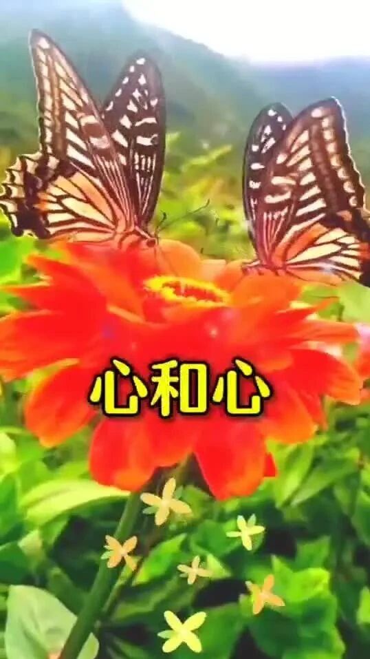 不用打字就可以聊天的图片【上】