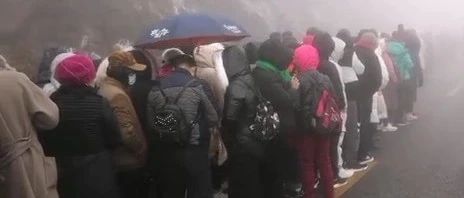 南宁大明山雾凇美爆，但人也挤爆了！今日游客数量已到峰值，停止售票