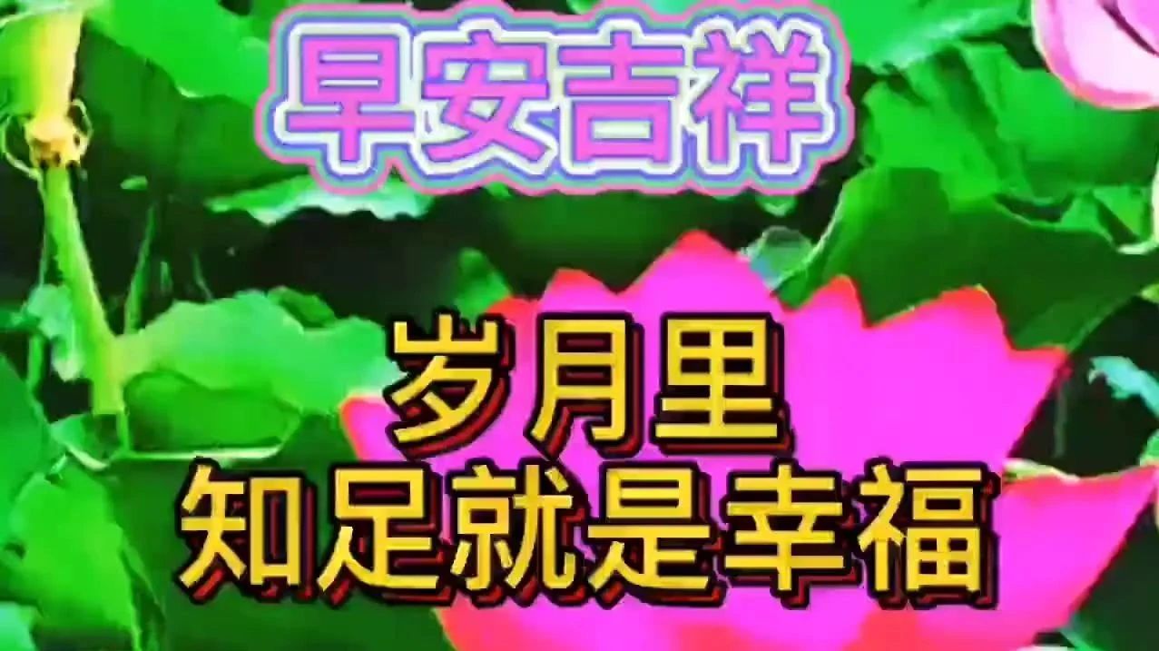 不用打字就可以聊天的图片【上】