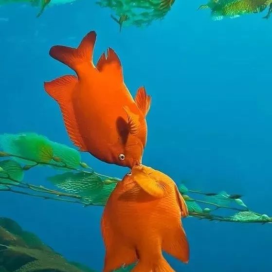 广西星级中职学校-中专学校那个好-职业技术学校在线报名