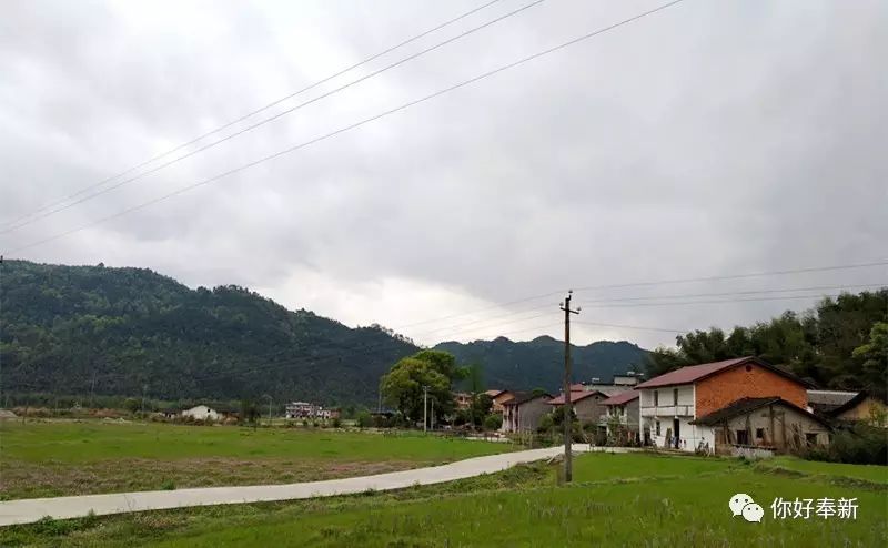 甘坊镇下村村,是你记忆中的故乡吗?