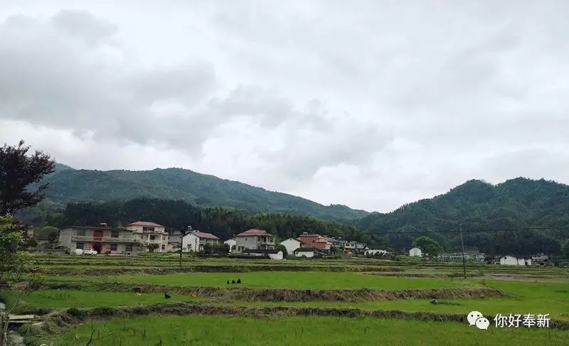 甘坊镇下村村,是你记忆中的故乡吗?