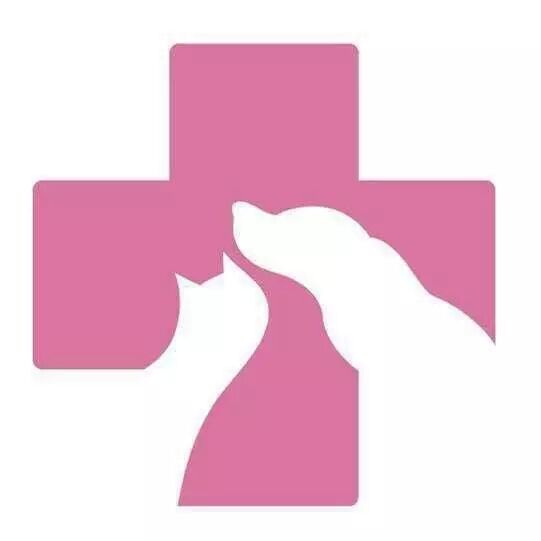 血滤机什么品牌好千呼万唤始出来！北京首台动物专用血滤机现已入驻全心全意连锁动物医院！肾衰小动物的福音！_https://www.jmylbn.com_新闻资讯_第1张