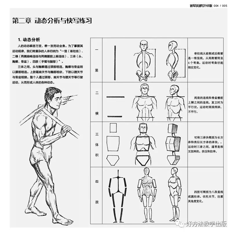 谢军谈速写升华版