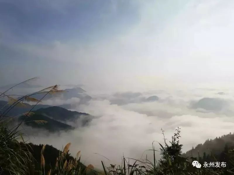 ▽▽▽ 九嶷山原铅锌矿区在癞子山上,位于道县,宁远,江华,蓝山四县