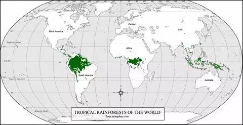 雨林是地球上一种常见于赤道附近热带地区的森林生态系统,主要分布于图片