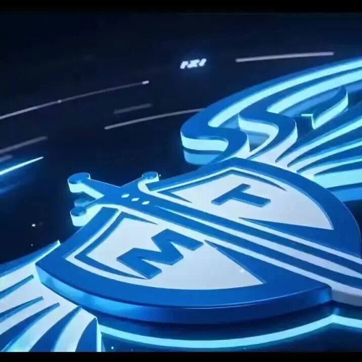  您的浏览器不支持 video 标签 