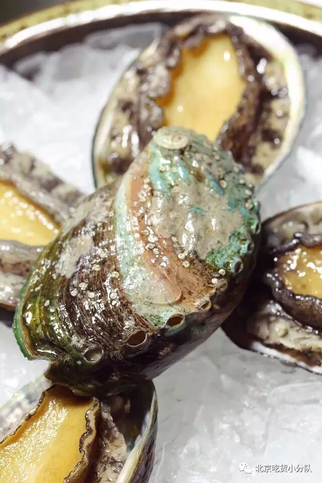 五花肉籽籽乌做法_籽籽乌的家常做法_籽乌