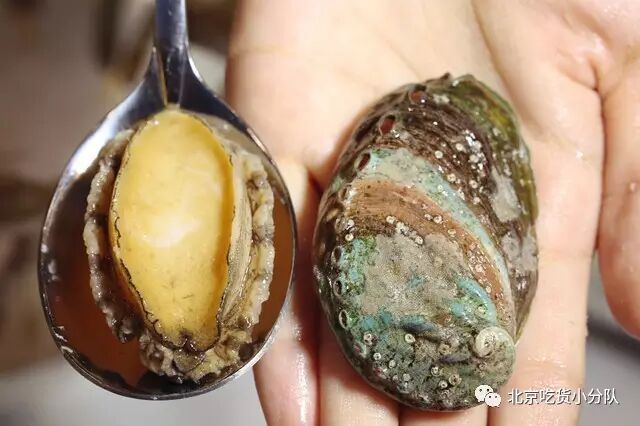 五花肉籽籽乌做法_籽籽乌的家常做法_籽乌