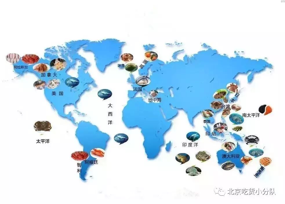 籽籽乌的家常做法_籽乌_五花肉籽籽乌做法