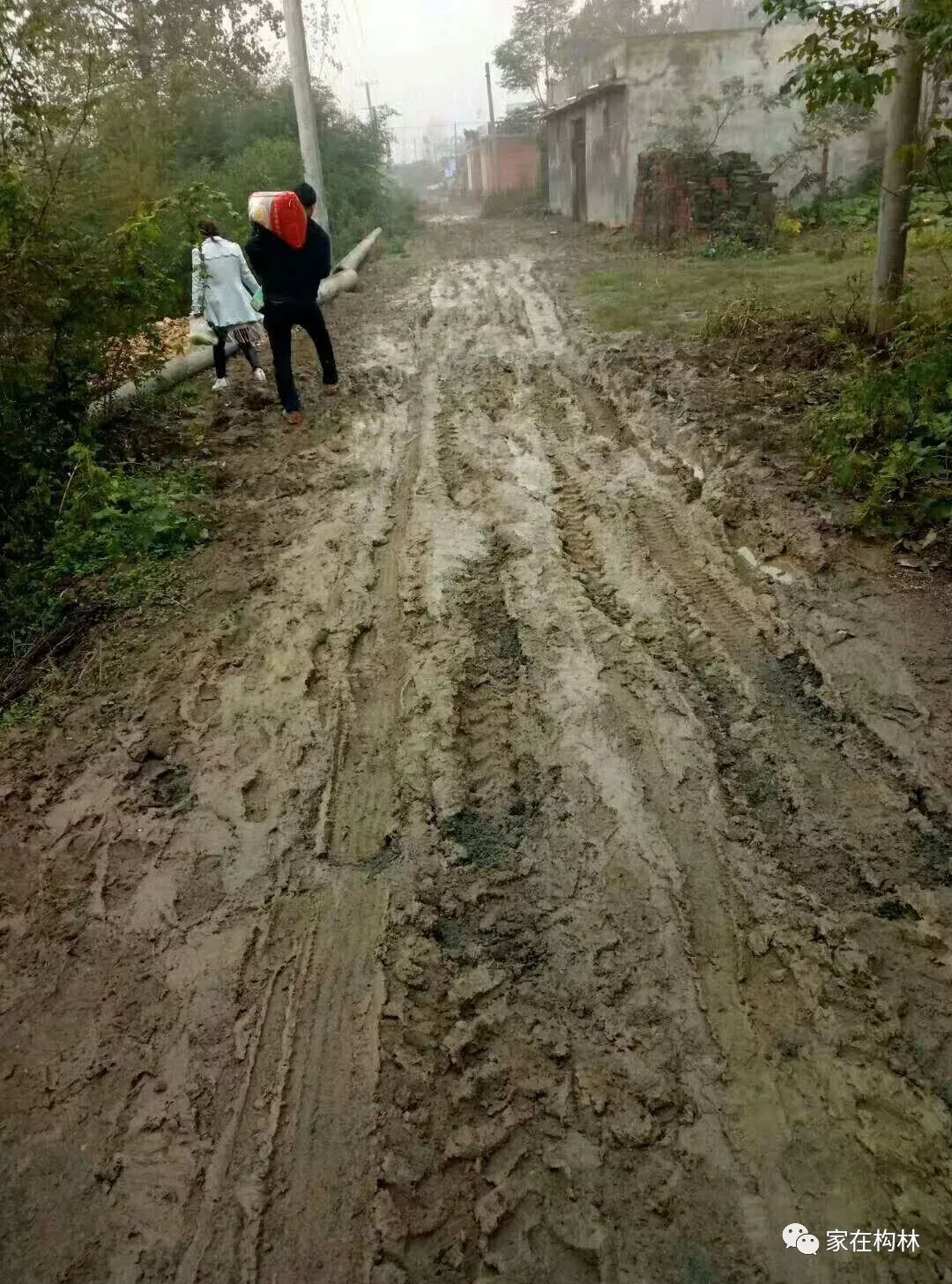 都司陈园罗庄组的水泥路真不错,有水有泥,只有下雨天有.