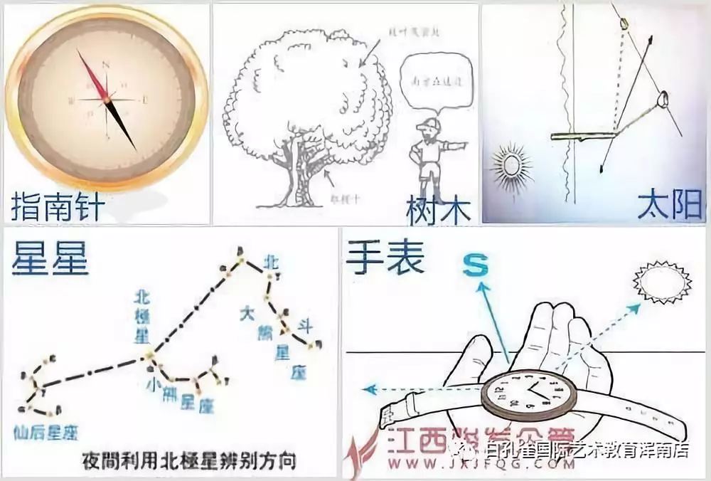 野外迷路有哪些方法可以辨别方向?