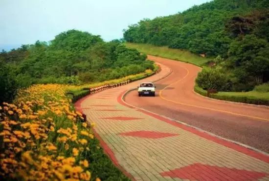 开车徜徉在环岛路上