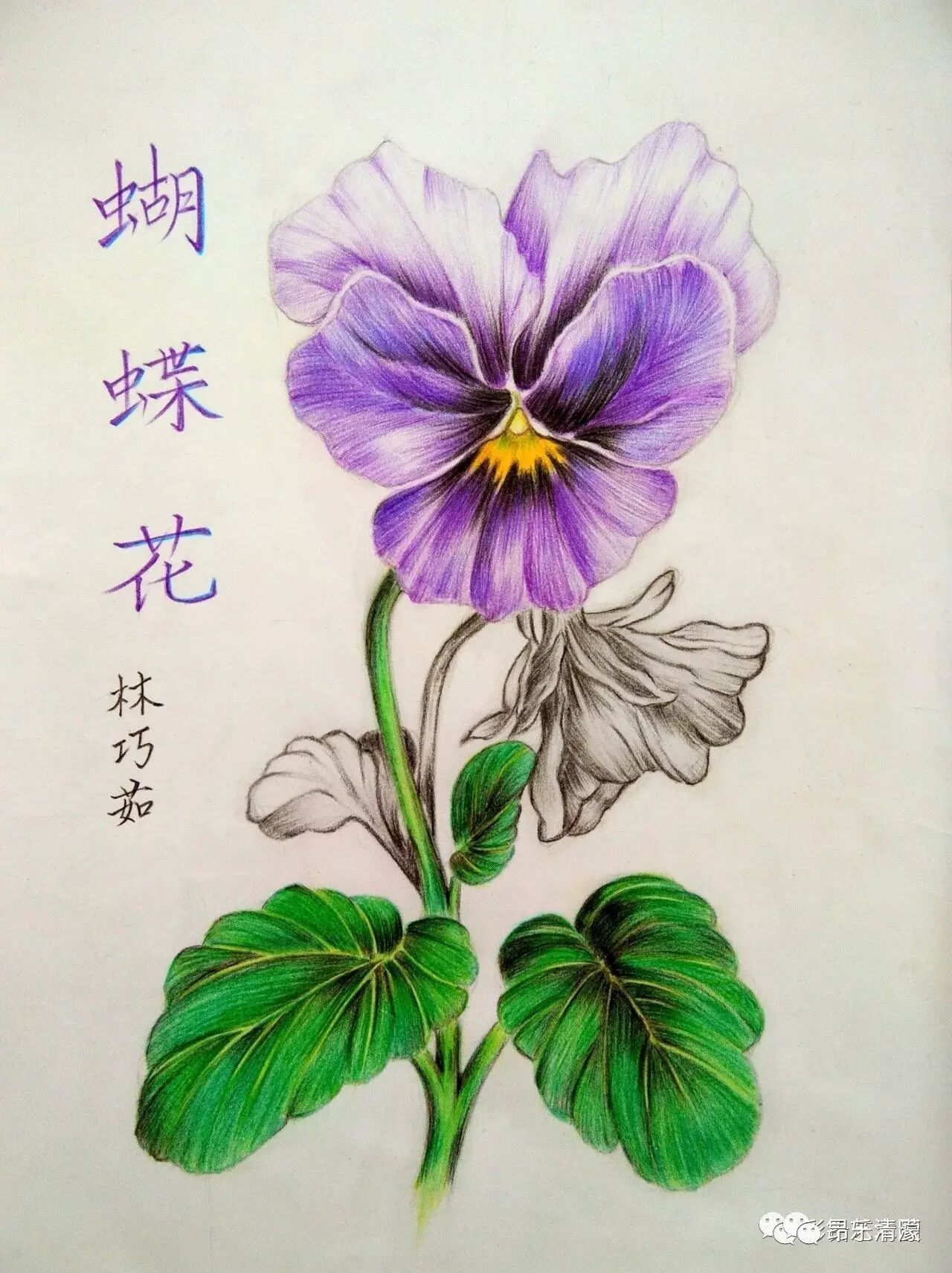昂乐教育清蒙分校