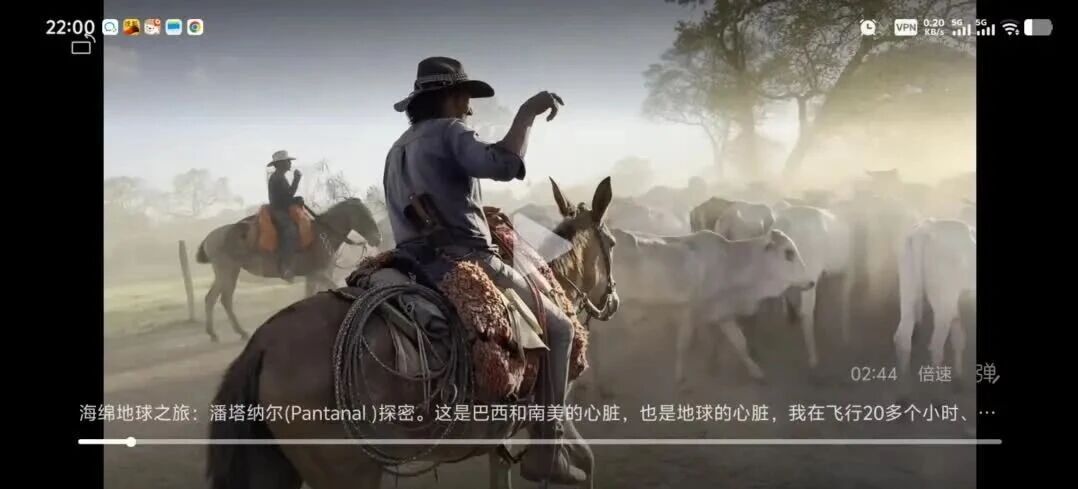 张维伊的表情,北大教授俞孔坚在巴西坠机遇难，总统卢拉发文，坠亡前最后影像曝光