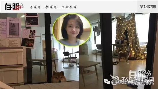 女星闺房秘密:刘亦菲养一群猫 杨紫有上百顶棒球帽