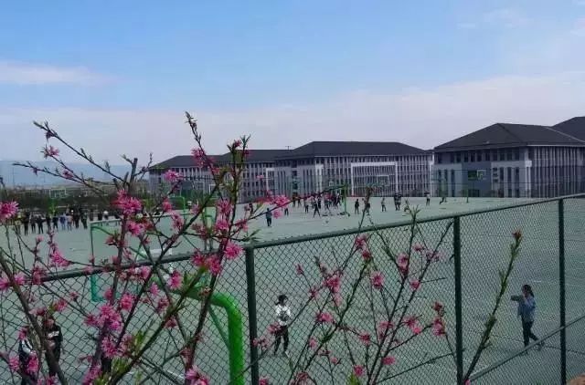 重庆化工职业学院简介