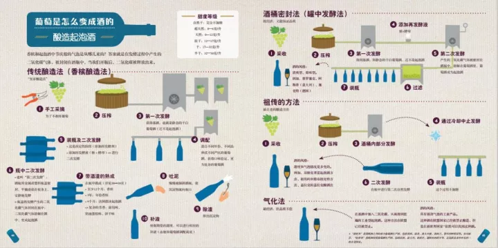 图解 | 一瓶葡萄酒到底是怎么酿造出来的？