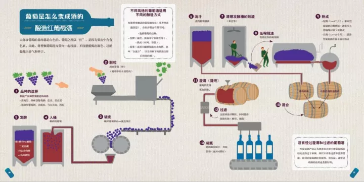 图解 | 一瓶葡萄酒到底是怎么酿造出来的？