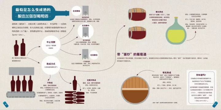 图解 | 一瓶葡萄酒到底是怎么酿造出来的？