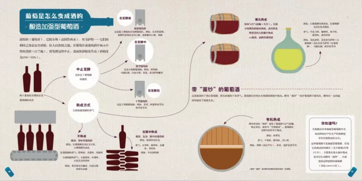 圖解 | 一瓶葡萄酒到底是怎么釀造出來(lái)的? 圖解 | 一瓶葡萄酒到底是怎么釀造出來(lái)的?