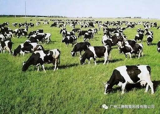 ����������������ҵ����Ҫ��