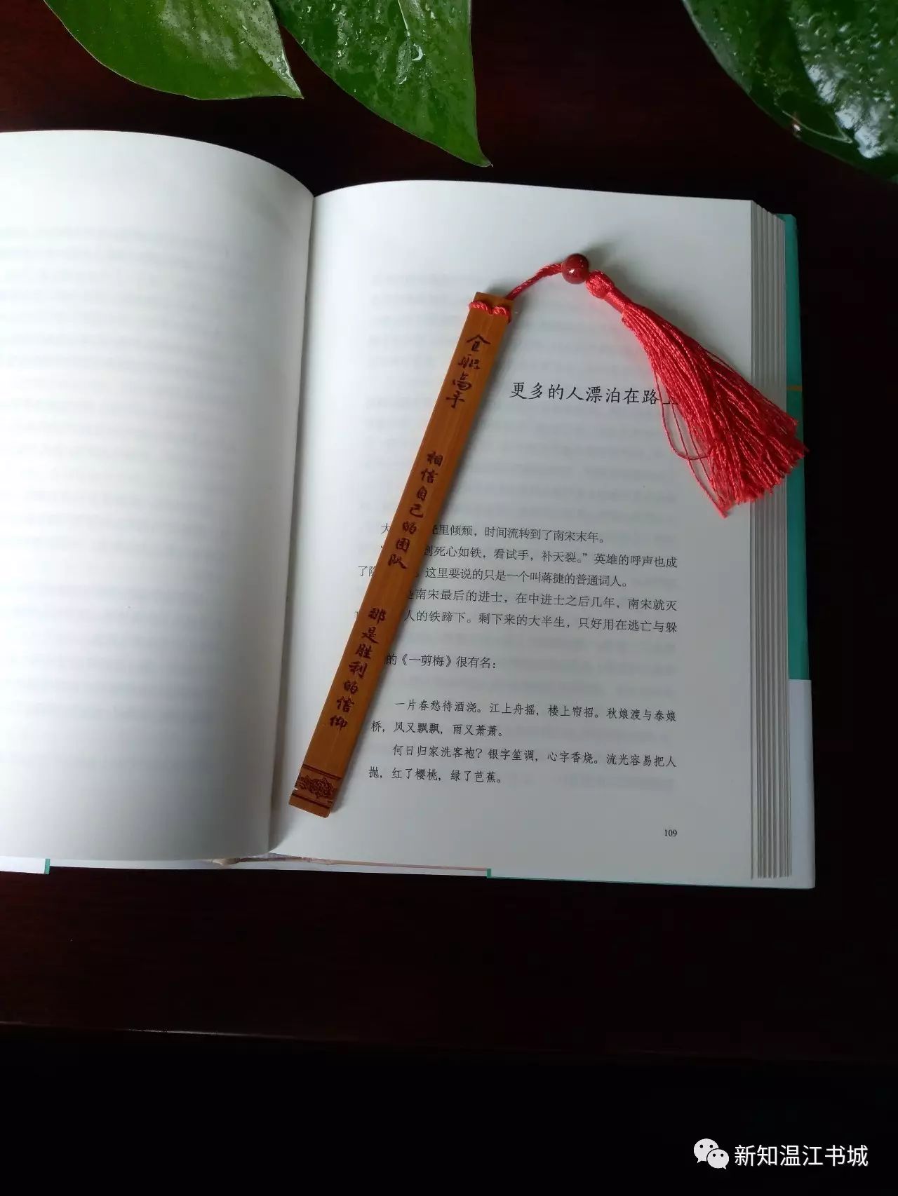 书伴侣之------书签