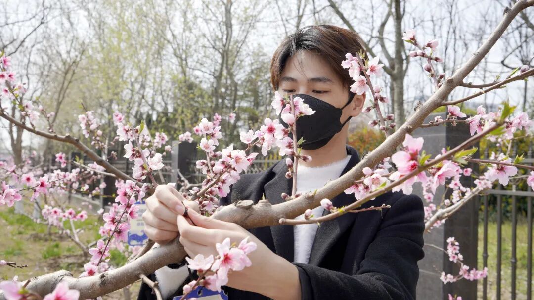 太阳雨净水器公益林正式开园啦！_4
